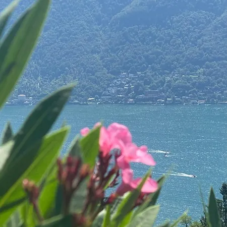 Ti Amo Apartment