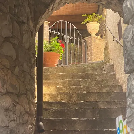 Ti Amo Nesso