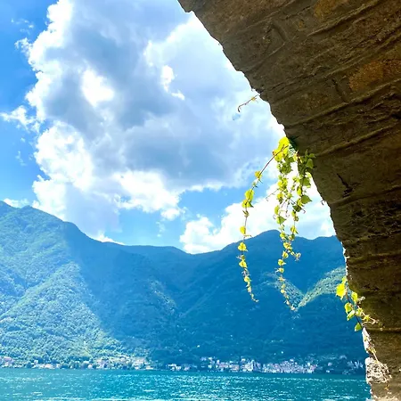Ti Amo
