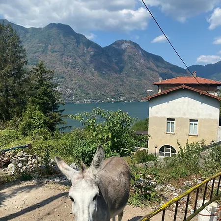 Apartment Ti Amo Nesso